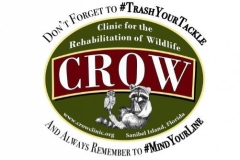 crow