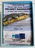 delaney-kavanaugh