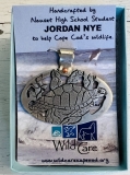 jordan-nye