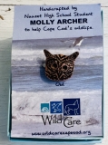 molly-archer