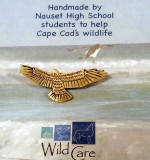 Jakob Baerga, Red Tailed Hawk *SOLD