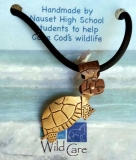 Robert Jasie, Eastern Box Turtle