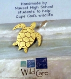 Will Christopher, Kemps Ridley Sea Turtle *SOLD
