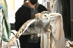 3-Photo-Jan-28-