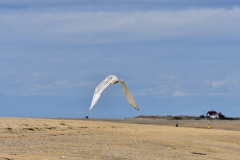 34-Photo-Mar-26-