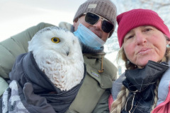 Roxanne-Layton-snowy-owl