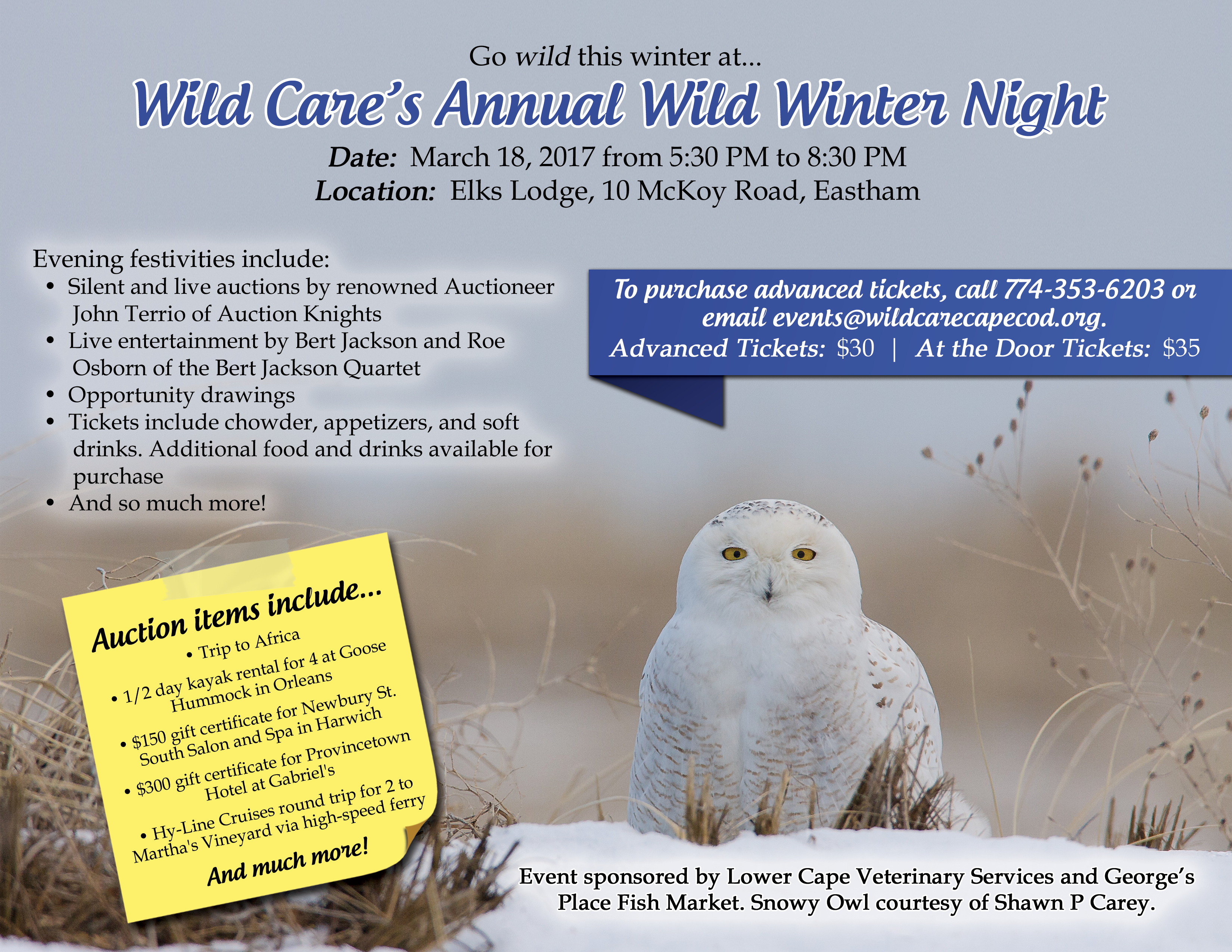 Wild-Winter-Night-Flyer---Auction-Items